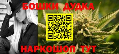 мдпв Обь