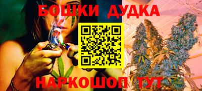 мдпв Обь
