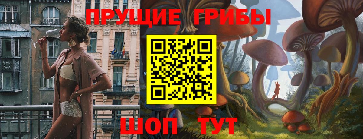 Псилоцибиновые грибы ЛСД Саров